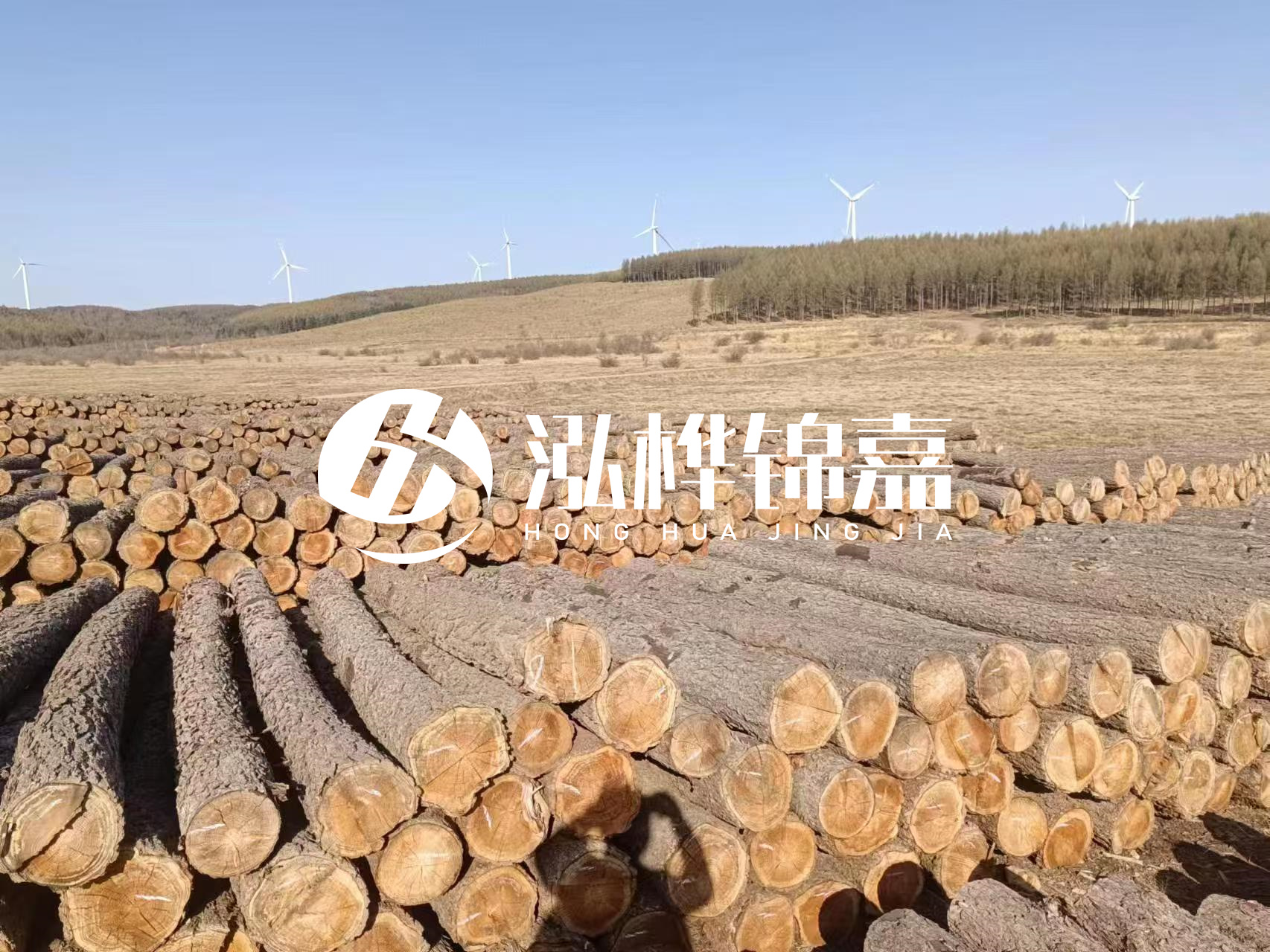 咸寧松木樁源頭廠家-哪里能買到質(zhì)量好的松木樁打樁木？