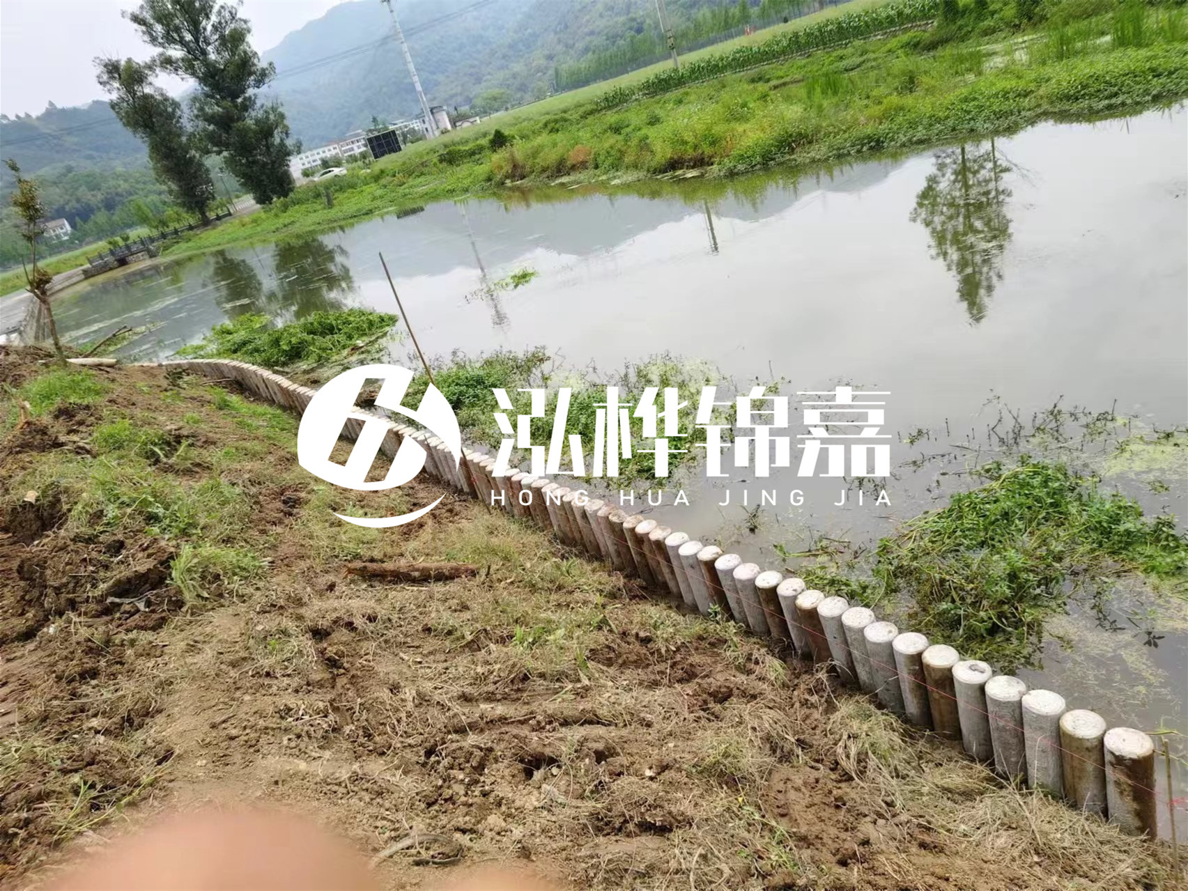 松木樁加固河道與水泥樁對比如何？哪一種更加適合您？