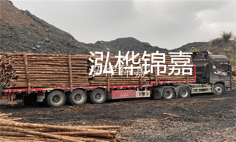 河提松木樁工程規范有哪些