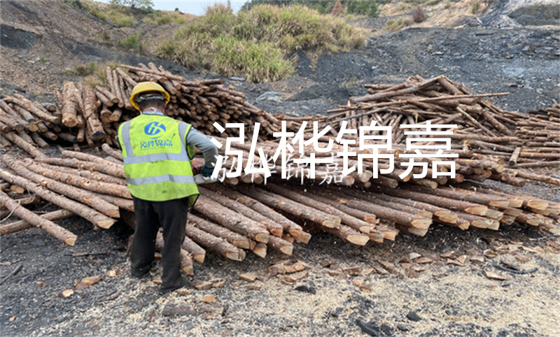 哪里松木樁最便宜？
